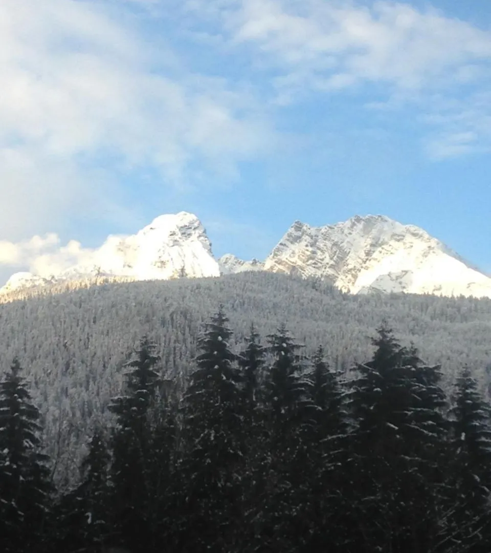 Almhotel Grünsteinblick Königssee